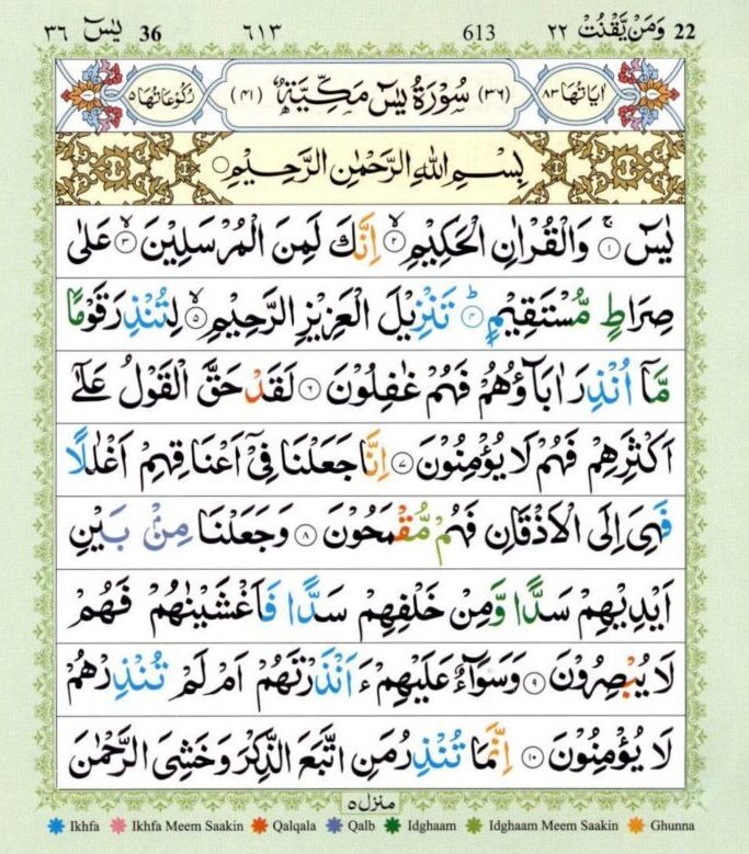 Surah Yaseen Read And Listen Pak Web Surah Yaseen Read And Listen Pak Web